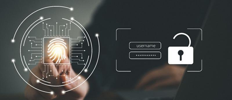 Biometrics Market to Soar: $33.18B (2019) to $127.32B by 2031,