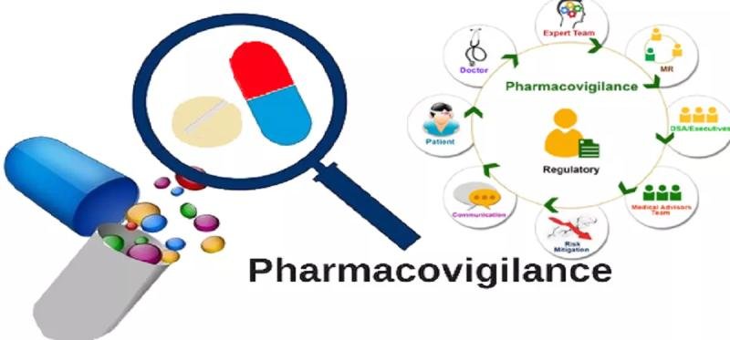 Pharmacovigilance (Pv) Software Market