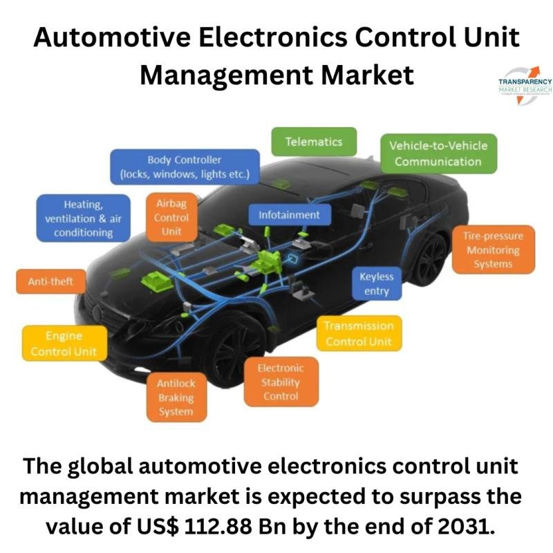 Automotive Electronics Control Unit Management Market