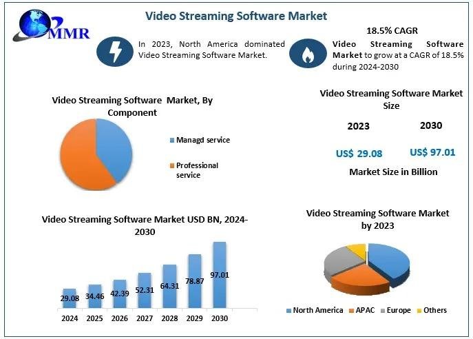 Video Streaming Software Market