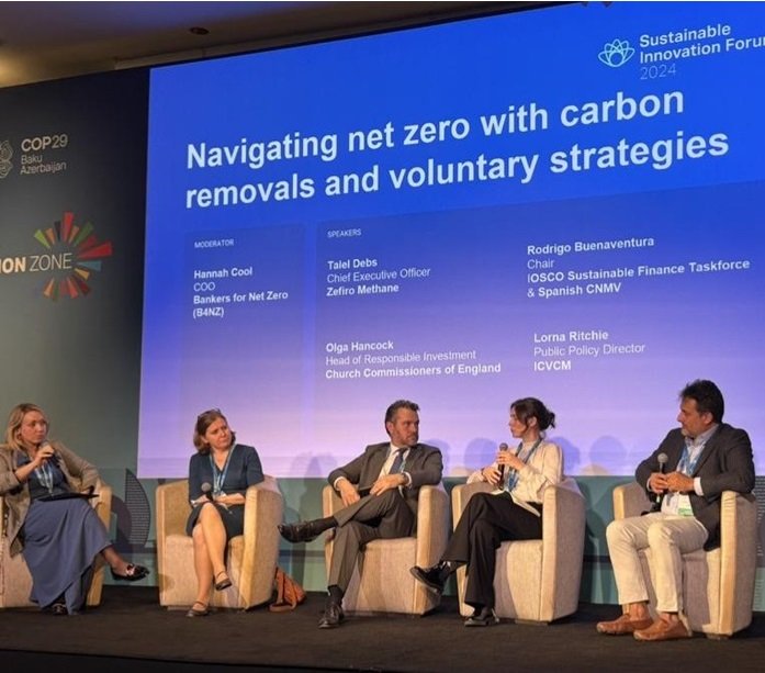 Dr. Debs (pictured furthest on the right) speaks at the COP29 Sustainable Innovation Forum’s “Navigating net zero with carbon removals and voluntary strategies” panel discussion on November 13, 2024