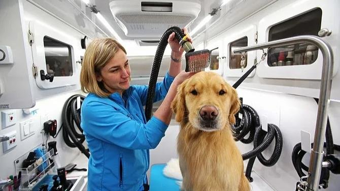The Mobile Pet Care Market accounted for USD 785.6 Million in 2024 and is expected to reach USD 2,174.8 Million by 2035, growing a