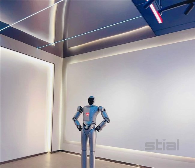 Stial Steven Humanoid Robot