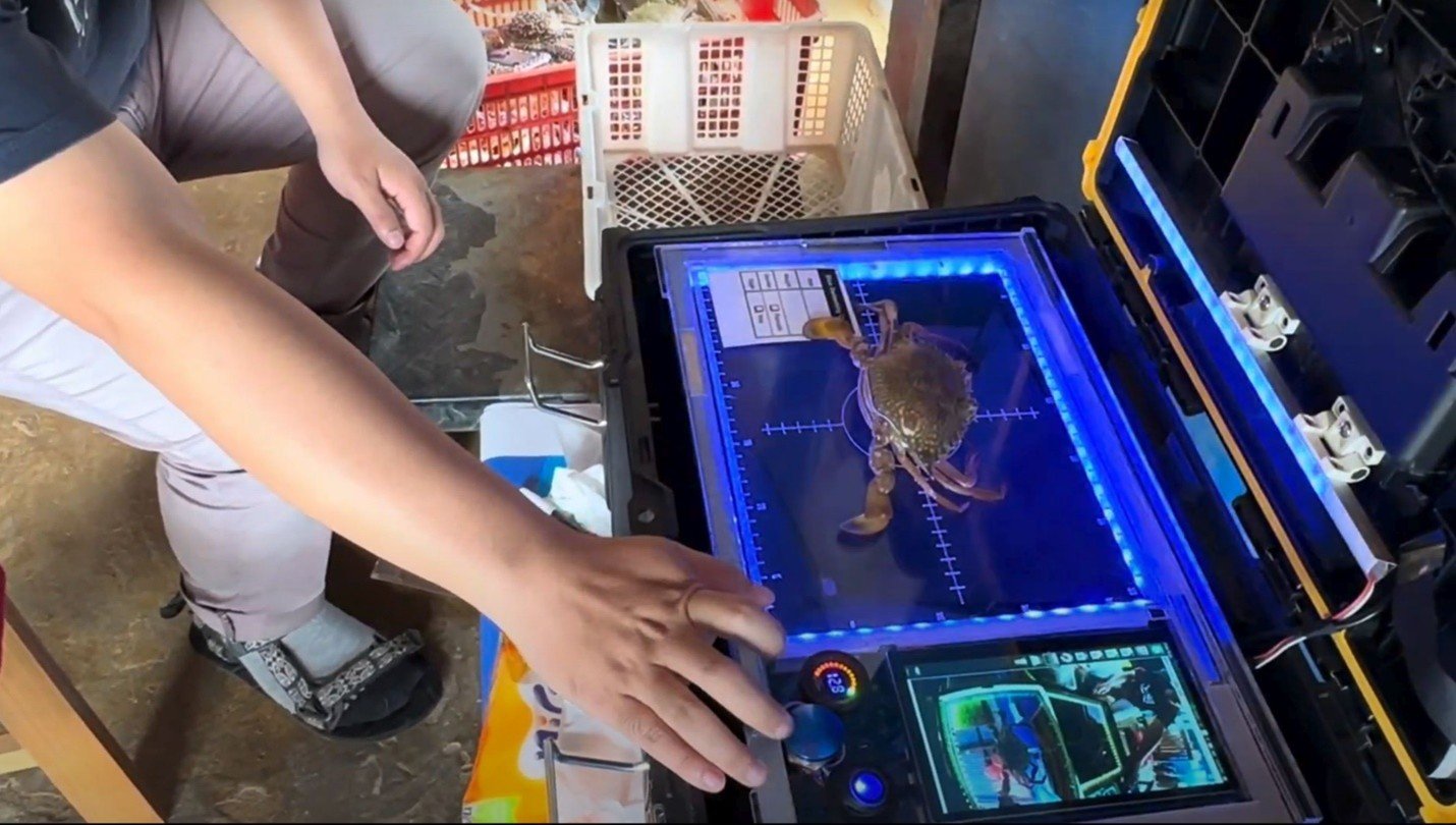 Automated crab scanning and sorting system for verifiable, traceable harvests