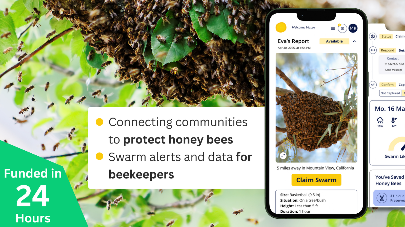 Swarmed Crowdfunding Campaign Funds in Under 24 Hours Amid Record Bee Losses