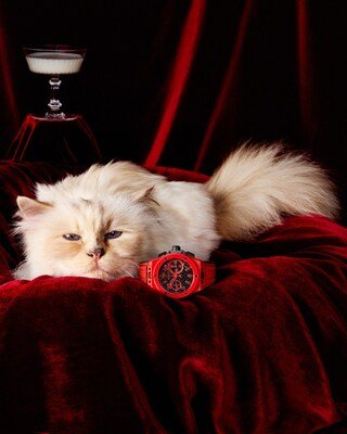 Hublot Big Bang 20th Anniversary Red Magic and Choupette Hublot Big Bang 20th Anniversary Red Magic and Choupette