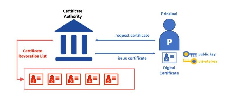 Credits of Image: https://hyperledger-fabric.readthedocs.io/