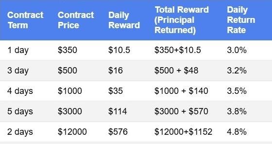 Overview of investment contract options with a focus on potential daily earnings and overall returns.