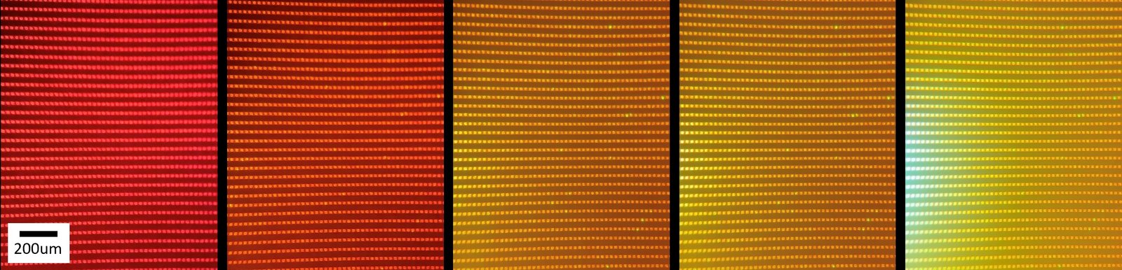 Q-Transfer microLED prototype panel