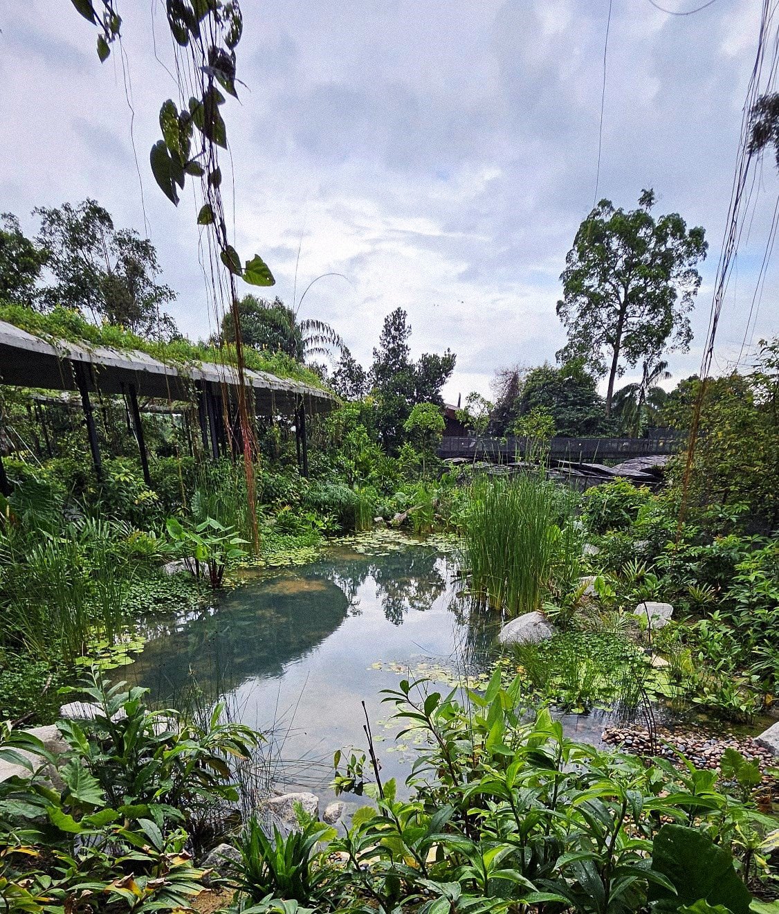 Picture - Singapore’s Green Imprint: GEBE’s Iconic Landscapes