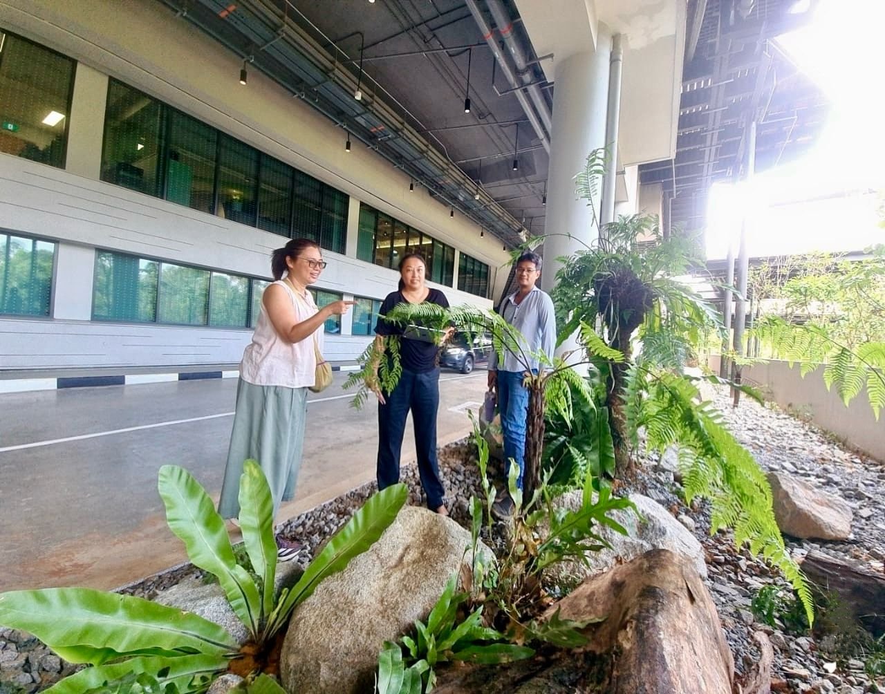 Picture - Singapore’s Green Imprint: GEBE’s Iconic Landscapes