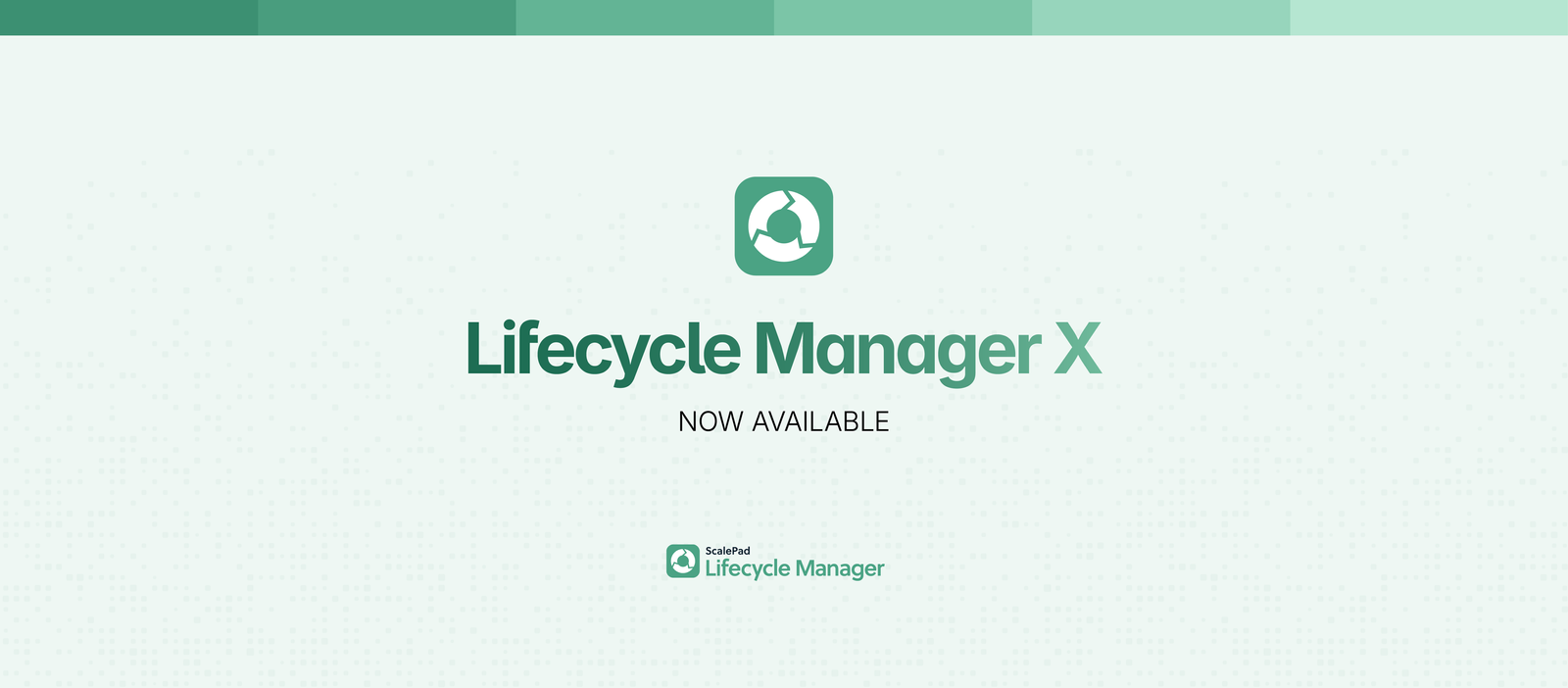 Lifecycle Manager X