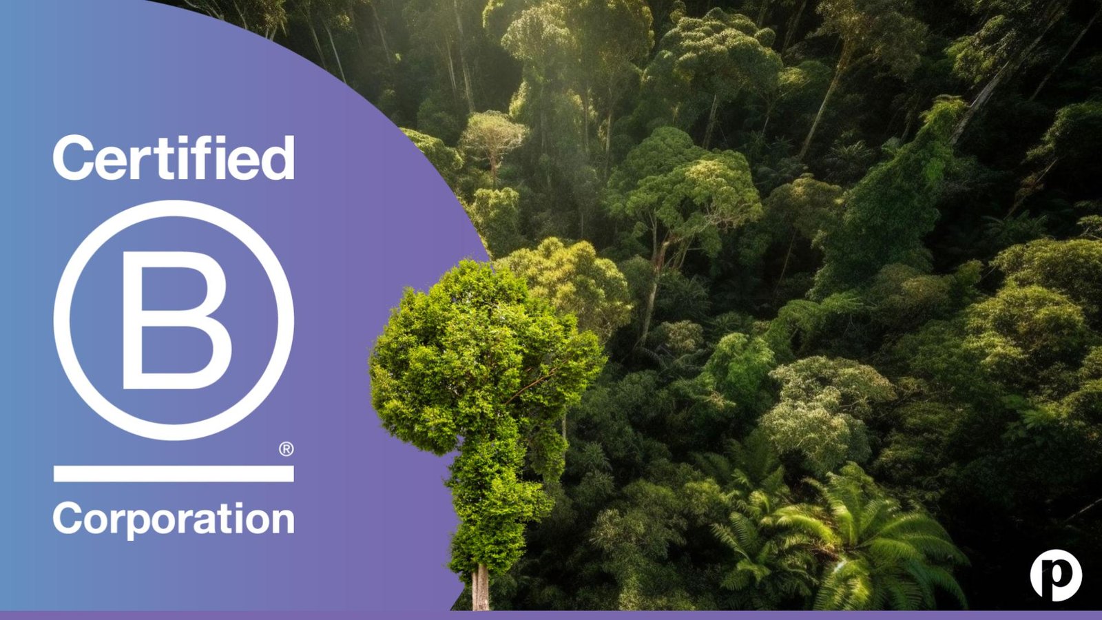 Purple Announces Revolutionary Unified Global WiFi Network to Eliminate Captive Portals and Bridge the Digital Divide