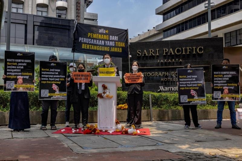 Cage-Free Countdown: Sinergia Animal Exposes Marriott Falling