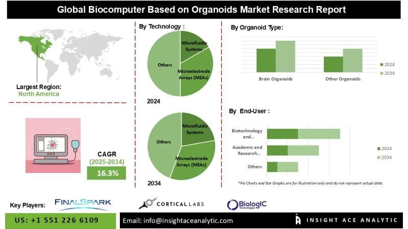 Biocomputer Based on Organoids Market