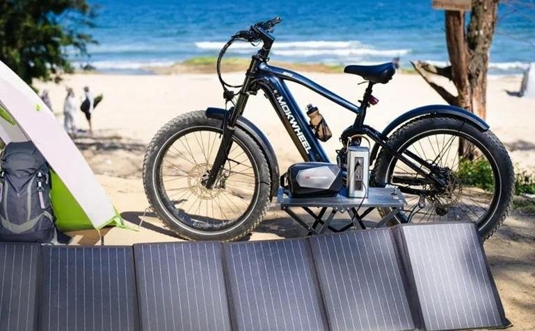 Pedal Assist Electric Bikes Gain Momentum Smart Urban Mobility