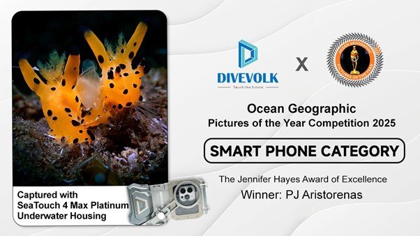 Award-winning image at OG PICOTY 2025