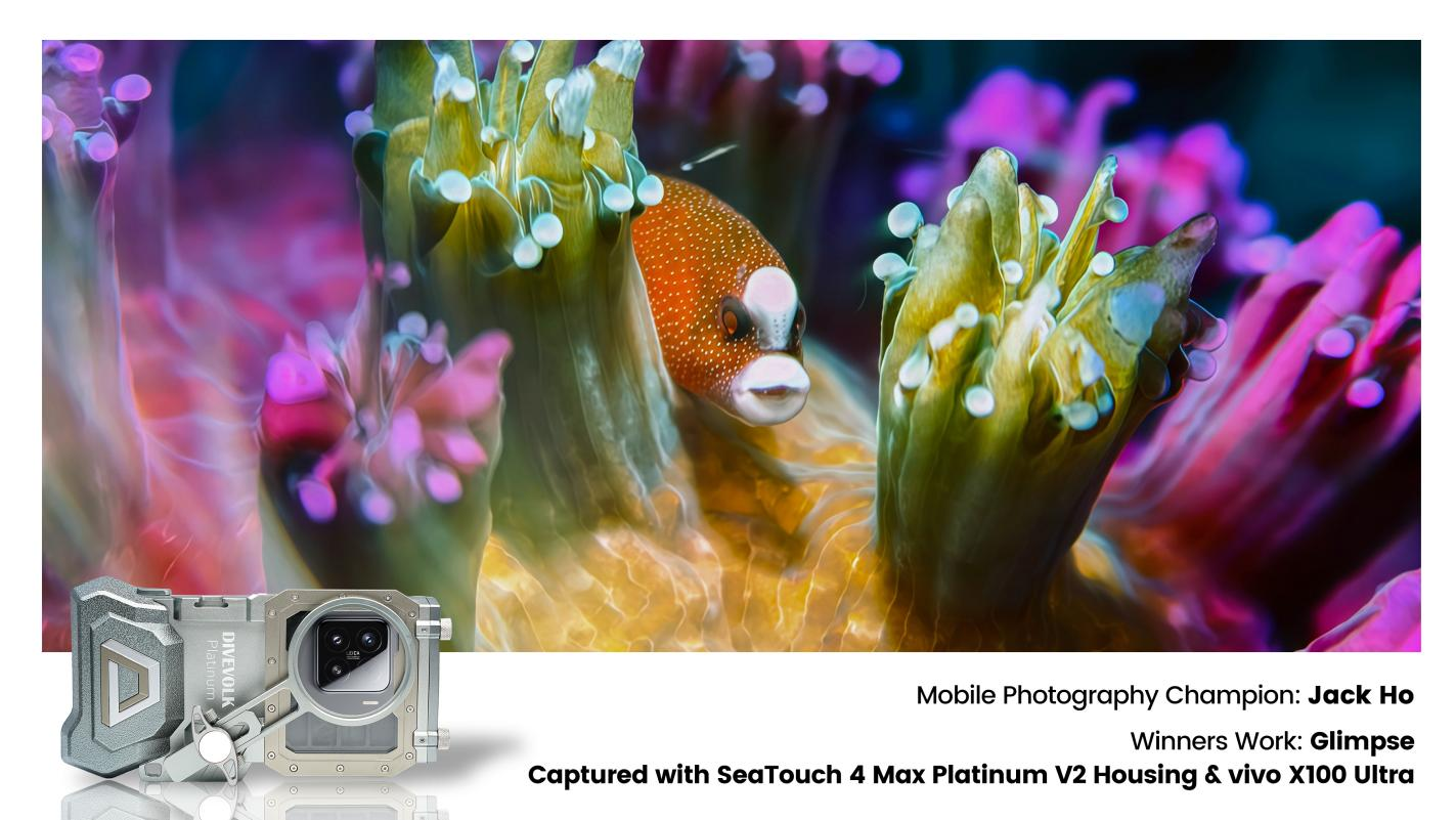 “Glimpse”by Jack Ho — UWPA 2026 Mobile Photography Winner. Shot with Vivo X100 + DIVEVOLK housing