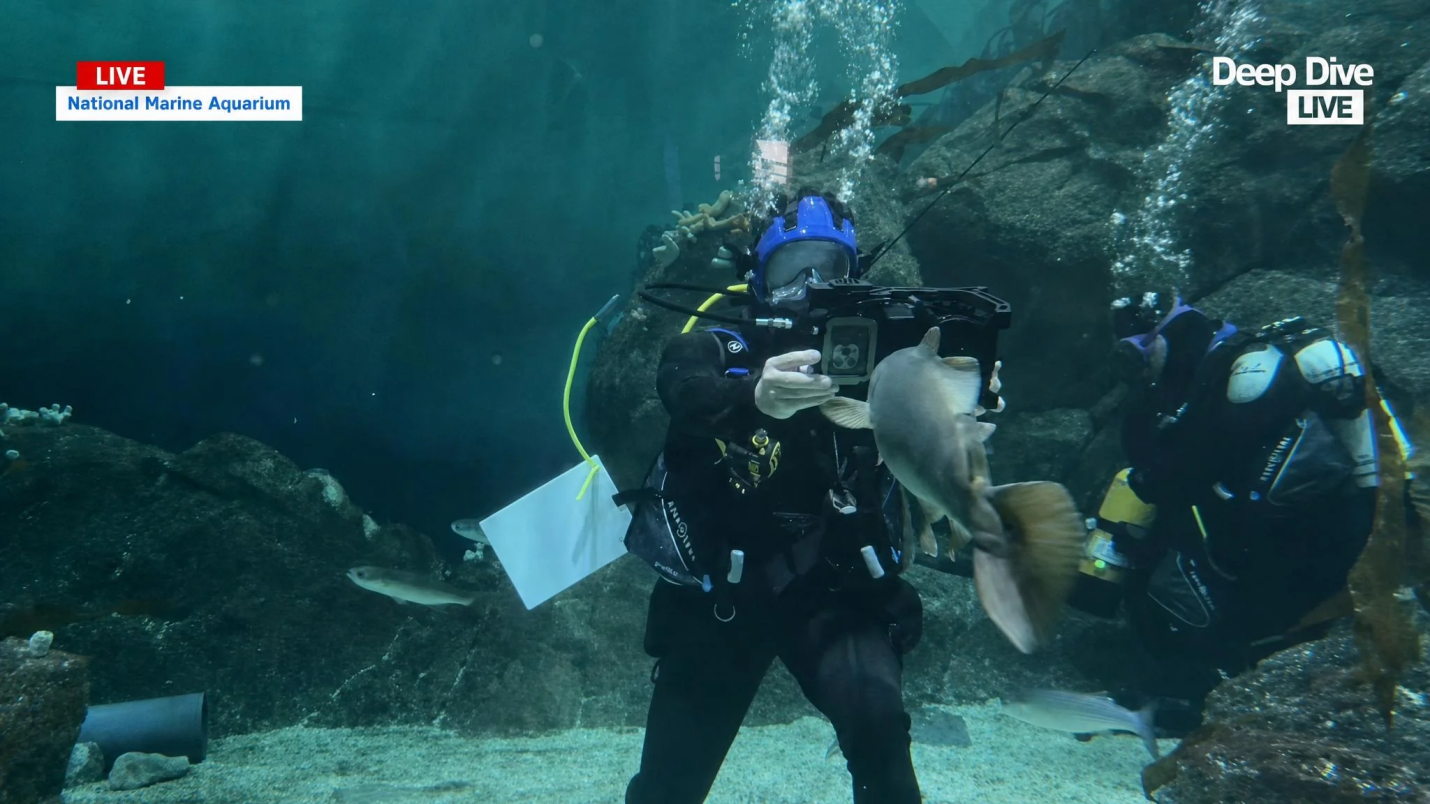 DIVEVOLK SeaLink underwater transmitter and surface receiver unit